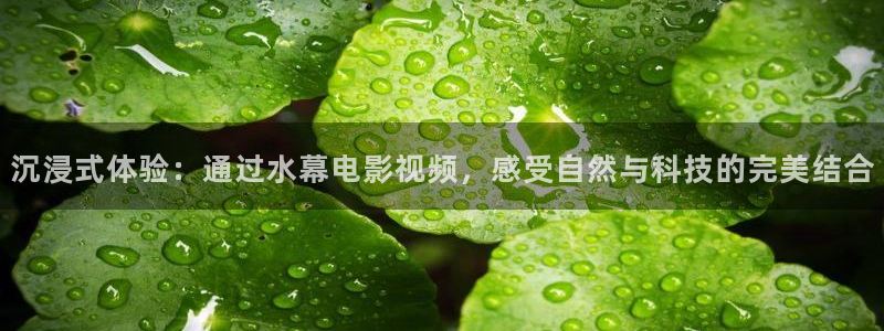 电影在线观看星辰影院：沉浸式体验：通过水幕电影视频，感受自然与科技的完美结合