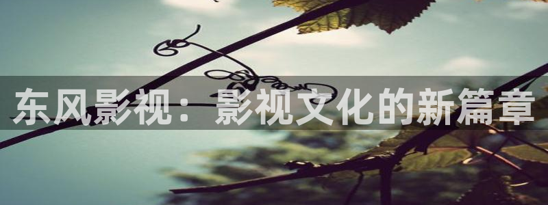红海行动星辰影院：东风影视：影视文化的新篇章