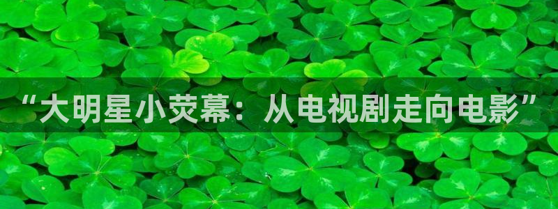 锦绣安宁星辰影院：“大明星小荧幕：从电视剧走向电影”