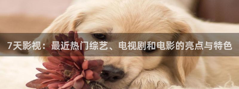 沙尘暴电视剧全集免费观看星辰影院：7天影视：最近热门综艺、电视剧和电影的亮点与特色