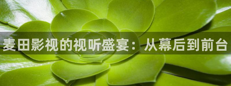 新西游记星辰影院在线播放：麦田影视的视听盛宴：从幕后到前台