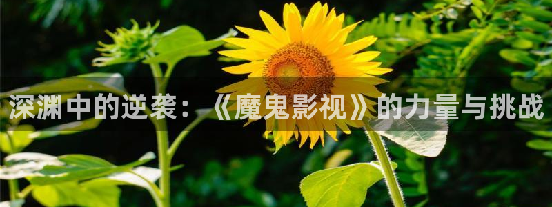 星辰影院一路向西：深渊中的逆袭：《魔鬼影视》的力量与挑战