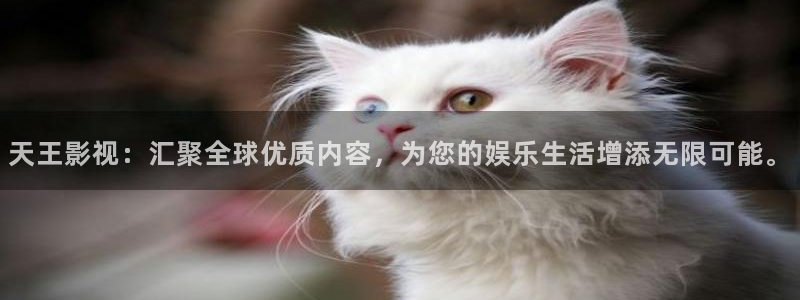 星辰影院下载：天王影视：汇聚全球优质内容，为您的娱乐生活增添无限可能。